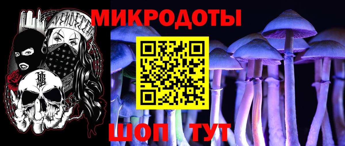 Галлюциногенные грибы GOLDEN TEACHER Югорск