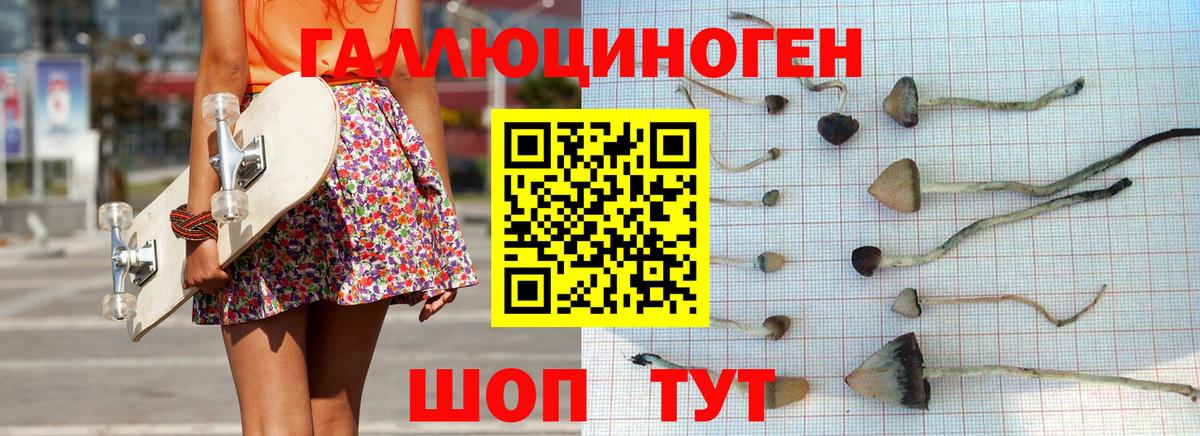 Галлюциногенные грибы Psilocybine cubensis  Псилоцибиновые грибы Psilocybe  Вход с VPN  Югорск 